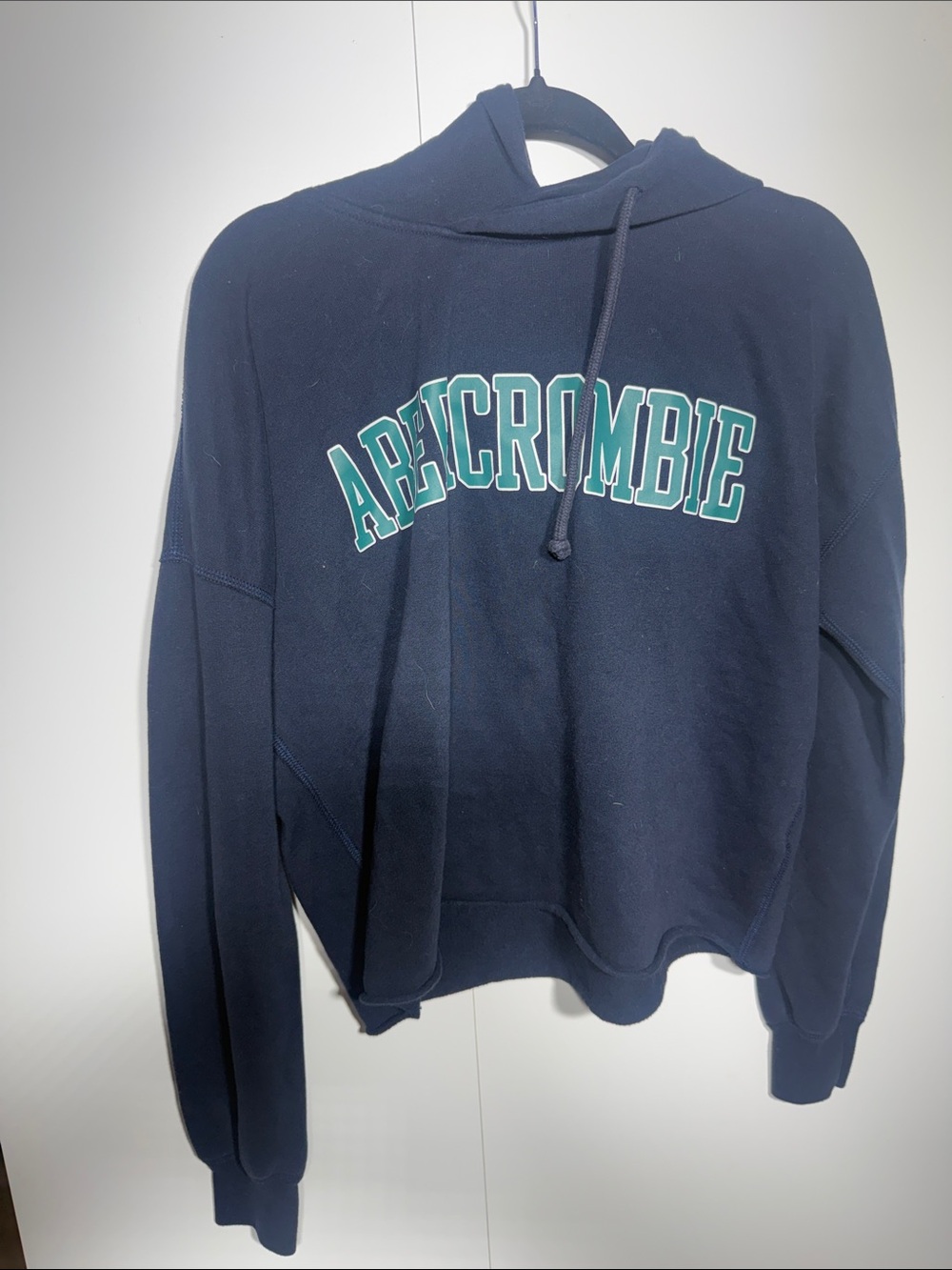 Abercrombie & Fitch Navy Hoodie with Teal Logo